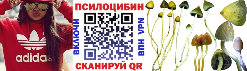 Галлюциногенные грибы GOLDEN TEACHER  купить   блэк спрут зеркало  Никольское 
